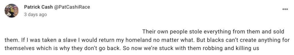 twitter user Patrick Cash @PatCashiRace replying to other users: "Their own people stole everything from them and sold them. If I was taken a slave I would return my homeland no matter what. But blacks can't create anything for themselves which is why they don't go back. So now we're stuck with them robbing and killing us"